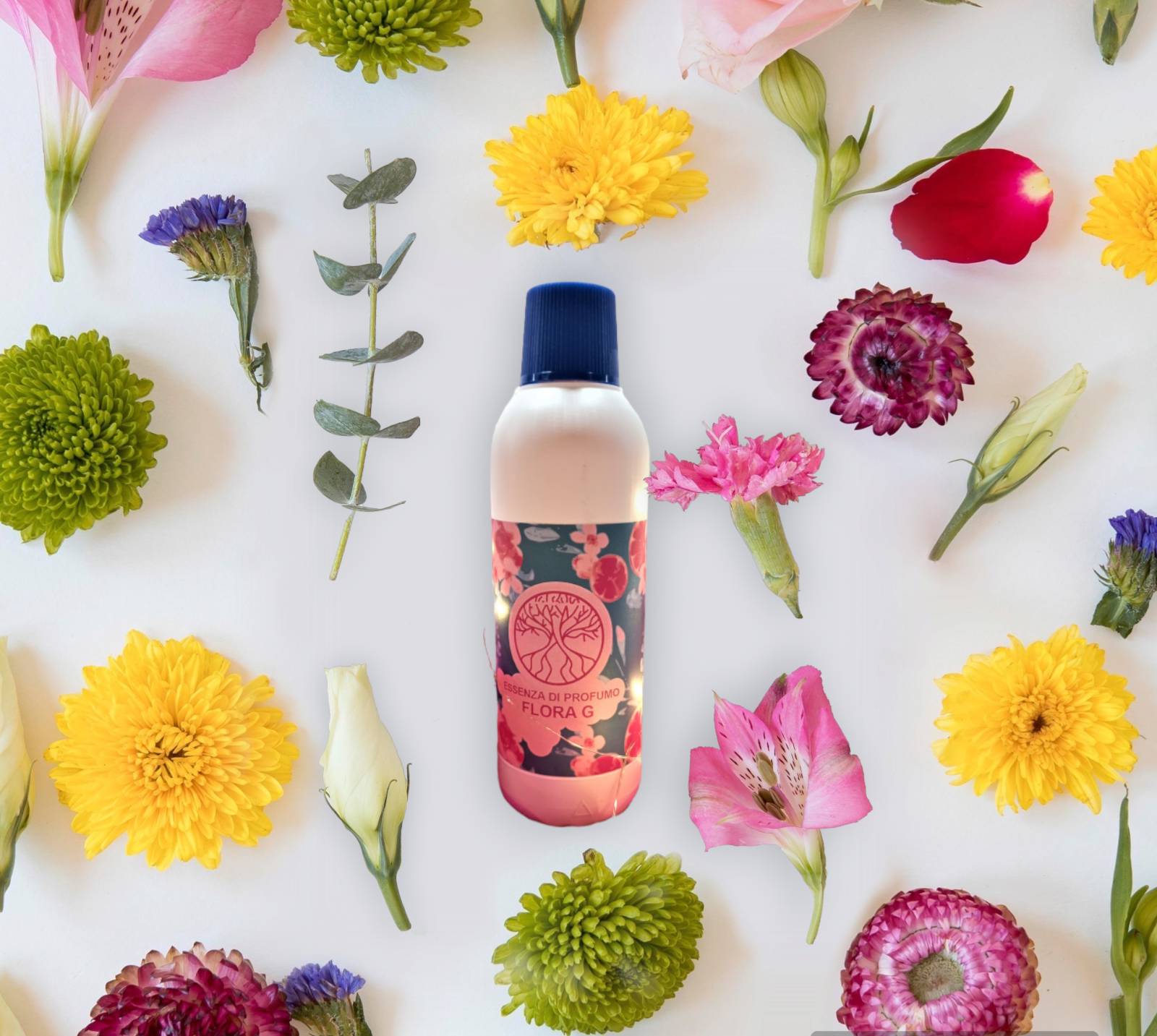 Parfum na pranie FLORA G 500ml Vôňa SLADKO - KORENISTA