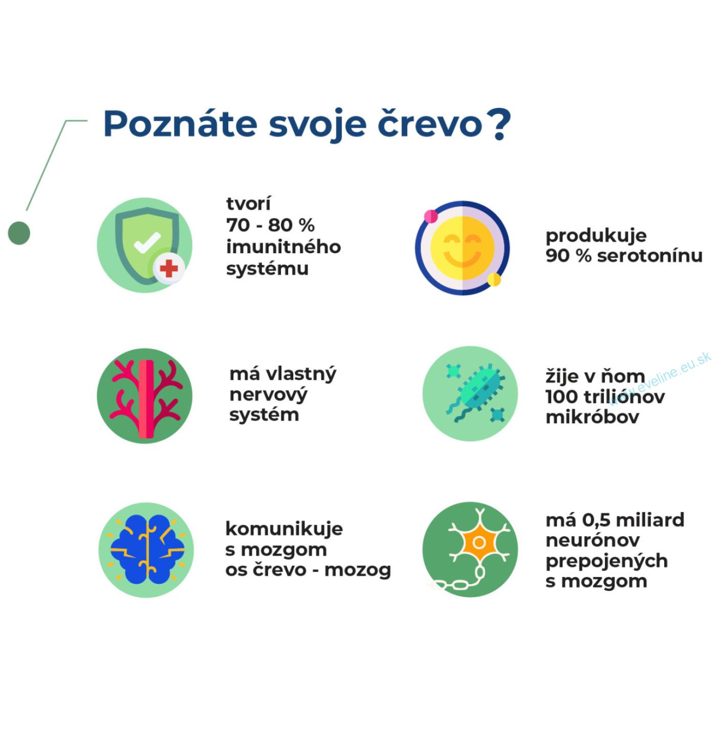 Medveď natural Butyrate 60 kapsúl