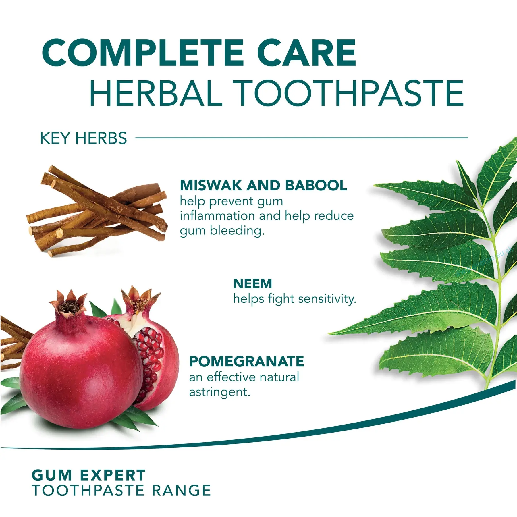 HIMALAYA Bylinná zubná pasta Complete Care - Gum Expert