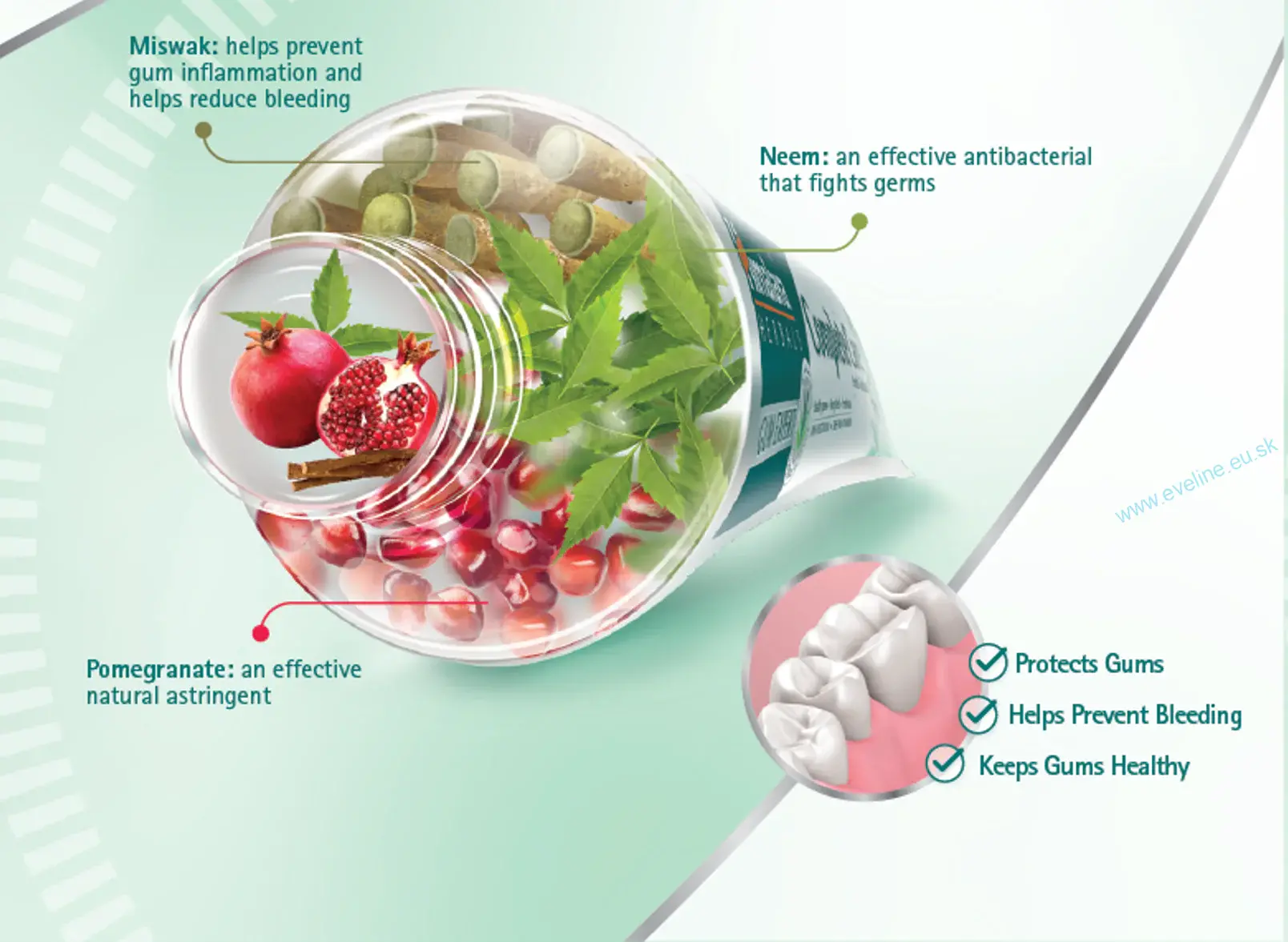 HIMALAYA Bylinná bieliaca zubná pasta v géle Active White - Gum Expert