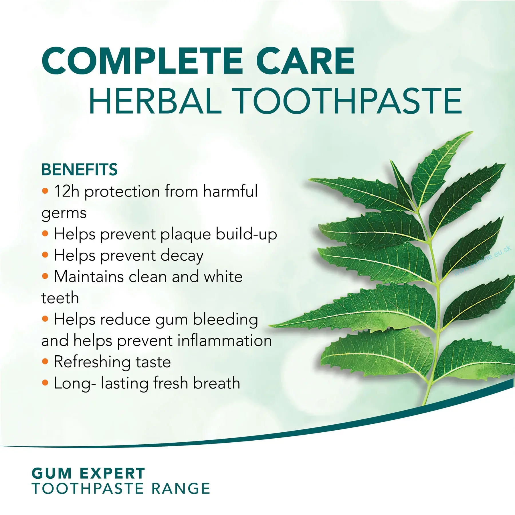 HIMALAYA Bylinná zubná pasta Complete Care - Gum Expert